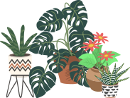 鉢植えのイラスト